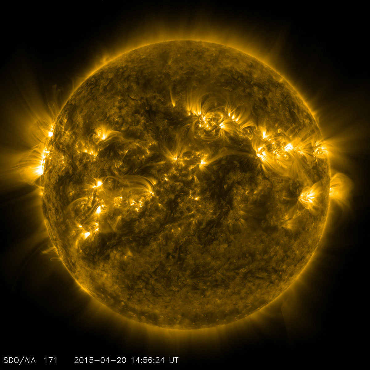 NASA image of our sun