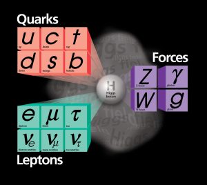 Graphic showing the relationship of quarks, leptons, and forces to the Higgs boson